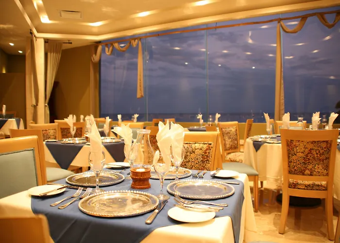 Pets Allowed Hotel Royal Solaris Cancun